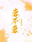 妻不妻 徐早赵妍完结版在线阅读