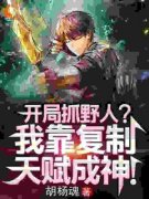 《林启刘畅》小说免费试读 《林启