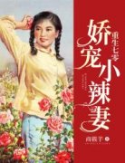 《夏依依周进》小说章节列表精彩