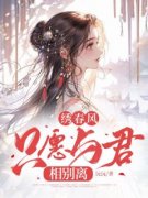 《绣春风，只愿与君相别离》小说