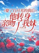 新书《沈枝意宋闻祁沈枝知》小说