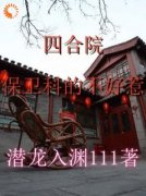 《四合院：保卫科的不好惹》小说