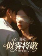 爱意似雾将散姜时宜沈南风小说大