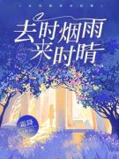 《去时烟雨来时晴》林烟雨陆文昭
