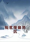 《陆茗惜裴司沉》大结局免费试读