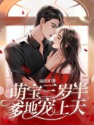 《萌宝三岁半，爹地宠上天》小说