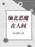 缅北恶魔在人间全章节免费阅读 主
