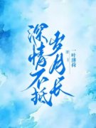 《深情不抵岁月长》小说完结版免