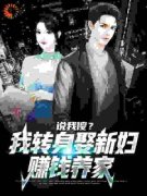《何雨柱秦淮茹》小说全文免费阅