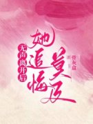 《林致远何曼》全文阅读 无声离开