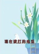 现在拨打的电话全集免费在线阅读