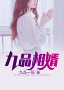 九品相婿小说 李子扬夏子月(九品相