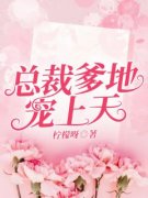 总裁爹地宠上天by宁婉傅霆完整版