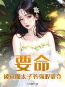 《要命！被京圈太子爷强取豪夺》小说章节目录在线试读 魏枝眠周京宴小说阅