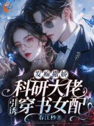 《叶江篱苏月婉》大结局在线试读 《叶江篱苏月婉》最新章节目录