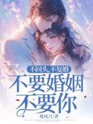 不回头，不复婚，不要婚姻不要你《童远苏兮》全文及大结局精彩试读