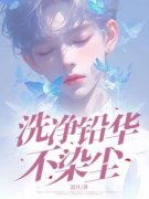 《洗净铅华不染尘》小说章节在线试读 沈箐箐许怀安小说全文