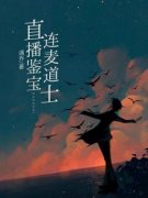 《直播鉴宝连麦道士》大结局免费
