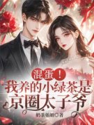 沈南乔陆战北小说 《混蛋！我养的
