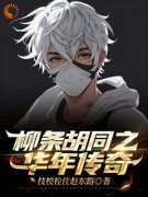 柳条胡同之华年传奇(刘华年刘美娟)全文完结免费试读精彩章节