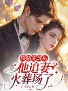 攻略完成后，他追妻火葬场了小说
