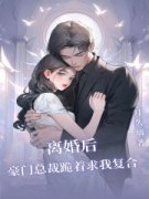 《沈清梨顾裴司》小说全文在线阅
