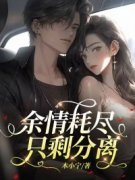慕心瑶林亦扬全文免费阅读(余情耗