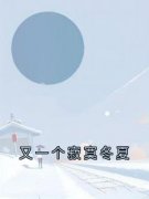 陆与洲宋轻语精彩章节小说免费试读地址 主角又一个寂寞冬夏