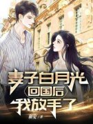 妻子白月光回国后，我放手了临池