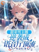 《甜弟男主播逆袭成语音厅顶流》