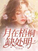 《沈峥顾念一》月在梧桐缺处明全文免费试读