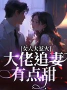 《宋苒顾北煜》小说章节列表精彩