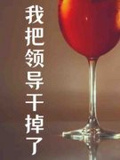 《我把领导干掉了》大结局精彩阅