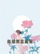 《孟熙音赵城宴》小说在线阅读 《孟熙音赵城宴》最新章节列表