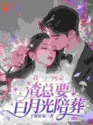 沈洛江澈珩全文精彩章节在线阅读