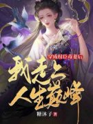 《穿成权臣毒妻后，我走上人生巅
