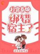打赏系统：绑错宿主了苏锦林钰全