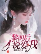 [许清黎沈怀延]黎明后才说你爱我小