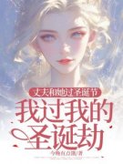 丈夫和她过圣诞节，我过我的圣诞劫耿芯裴弘小说全部章节目录
