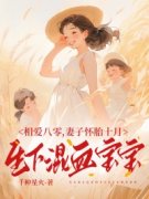 《金辰廖小菲》小说全文免费试读