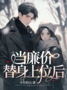 [当廉价替身上位后]阮落许祁凌玉婷小说全文章节目录免费试读