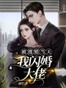 司意眠季璟淮被逃婚当天，我闪婚