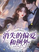 消失的偏爱和例外全文阅读 沈宁宋