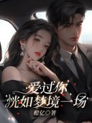 《爱过你，恍如梦境一场》小说完