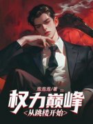 《权力巅峰：从跳楼开始》小说主