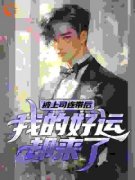 《被上司连带后，我的好运却来了！》小说章节列表精彩试读 韩文道洪广义小