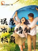 误惹冰山嗜甜校霸小说试读_尹诗诗