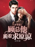 《陆简汐顾墨川》完整版在线阅读（主角分手后，顾总他跪着求原谅）