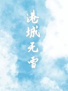 港城无雪(褚孝文宋晚仪)全文完结在线阅读完整版