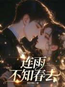 《连雨不知春去》小说完结版精彩